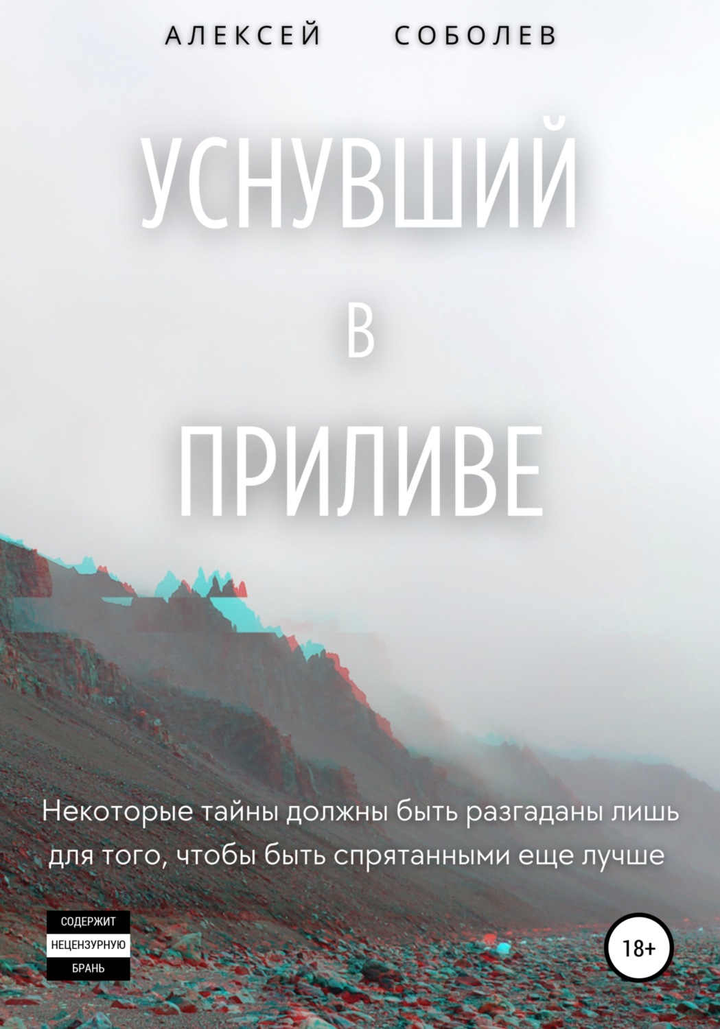 Обложка книги «Уснувший в приливе»