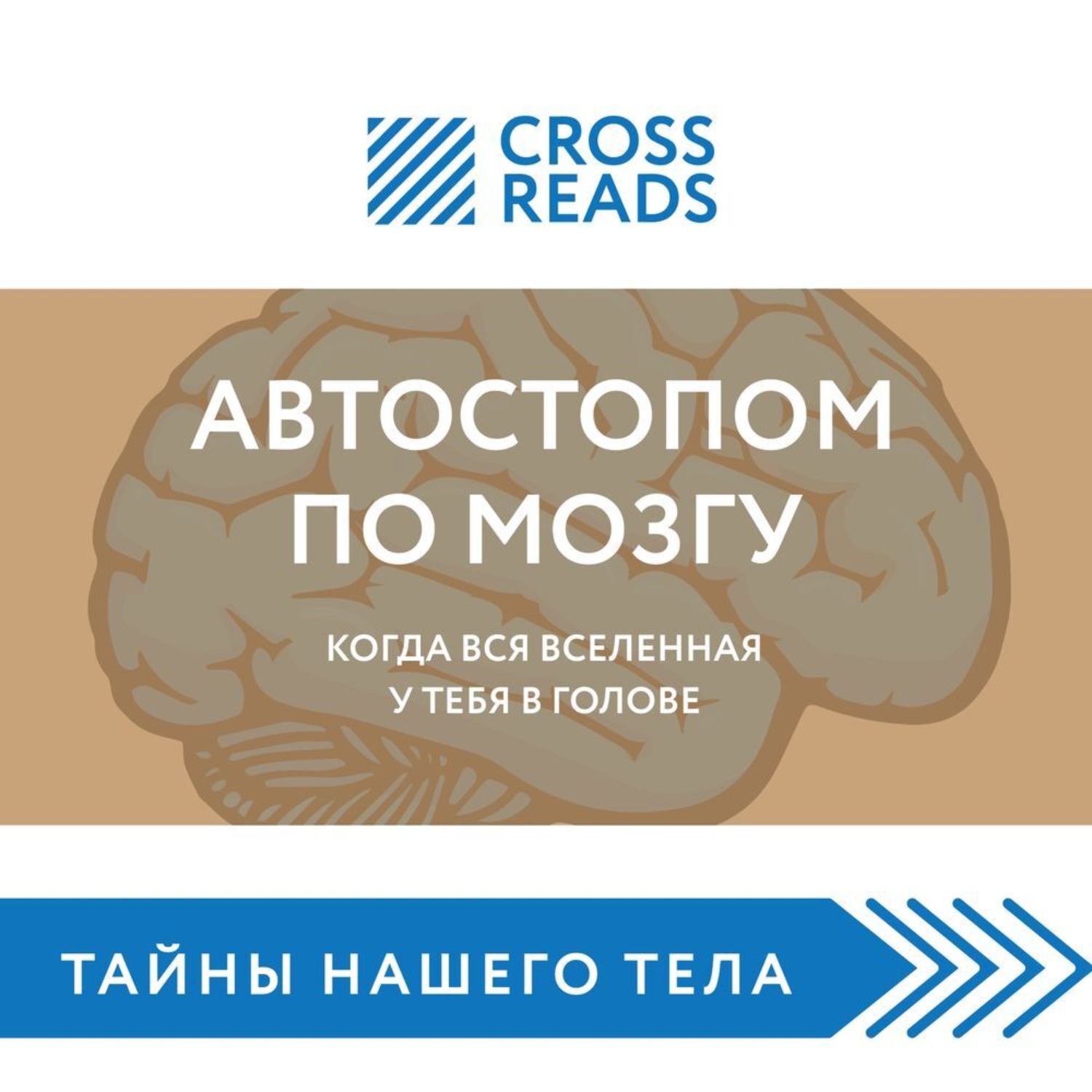 Обложка книги «Саммари книги «Автостопом по мозгу. Когда вся вселенная у тебя в голове»»