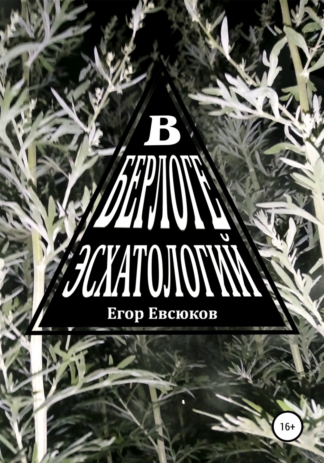 Обложка книги «В берлоге эсхатологий»