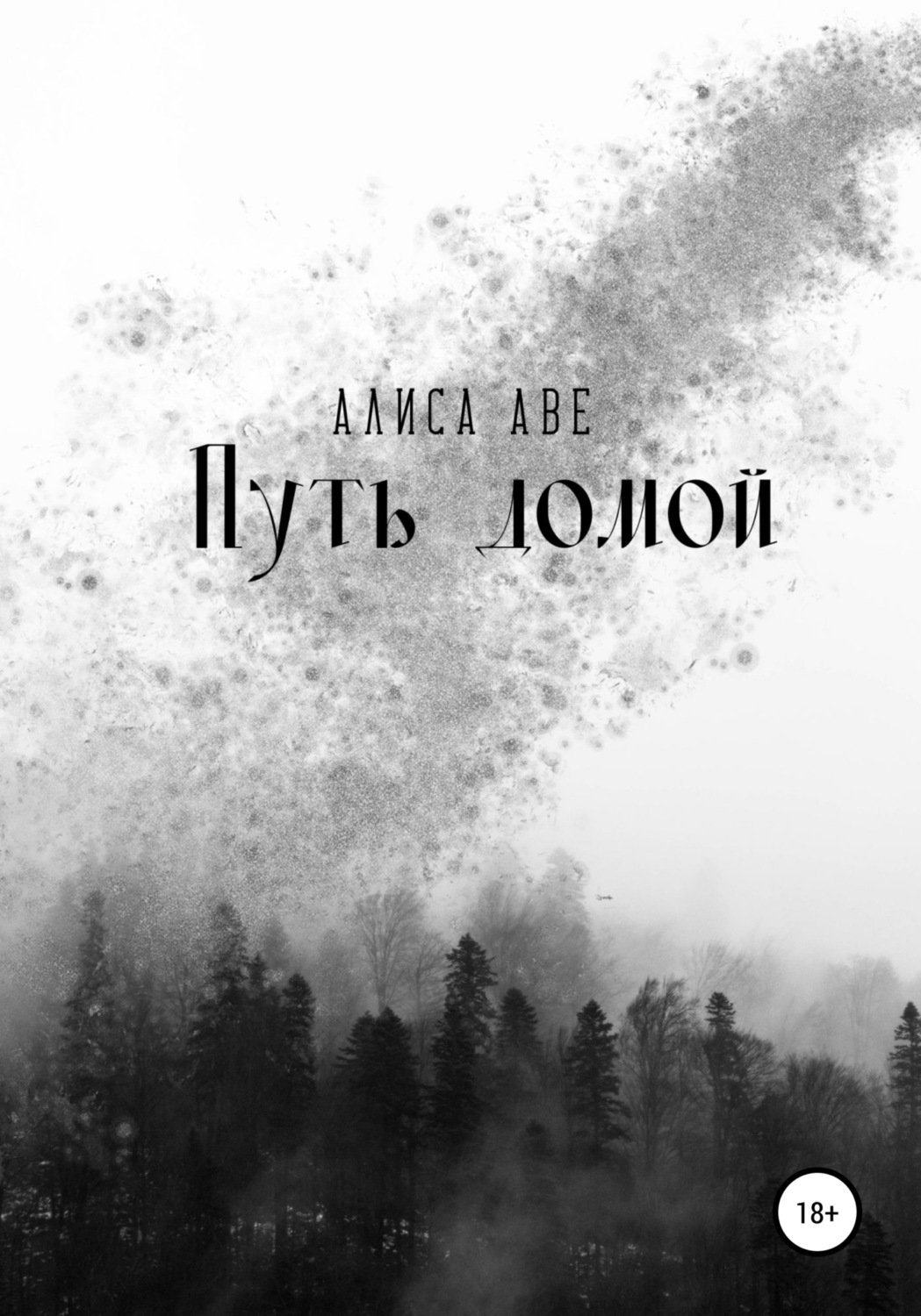 Обложка книги «Путь домой»
