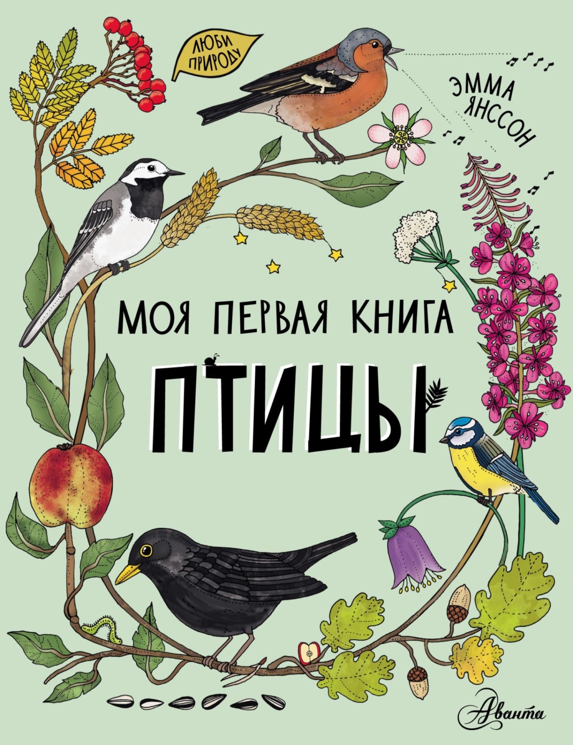 Обложка книги «Птицы»