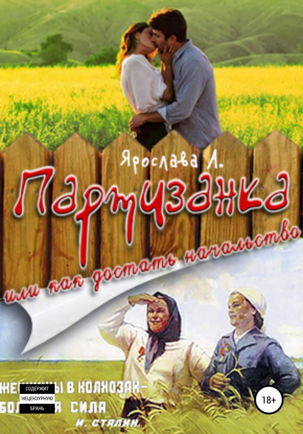 Обложка книги «Партизанка, или Как достать начальство»