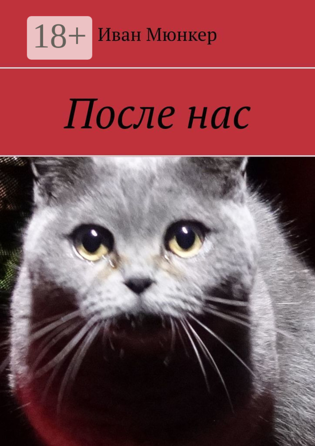 Обложка книги «После нас»