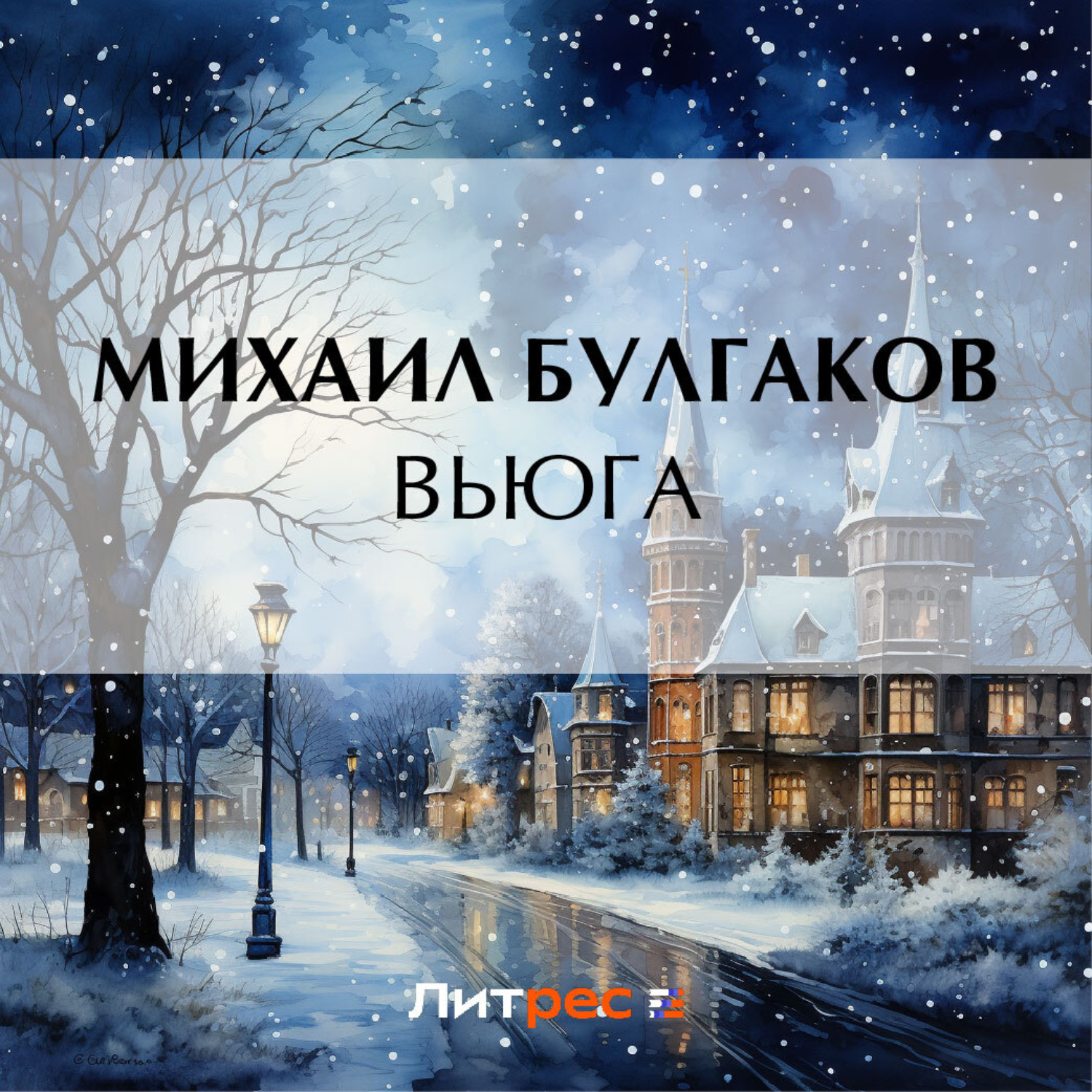 Обложка книги «Вьюга»