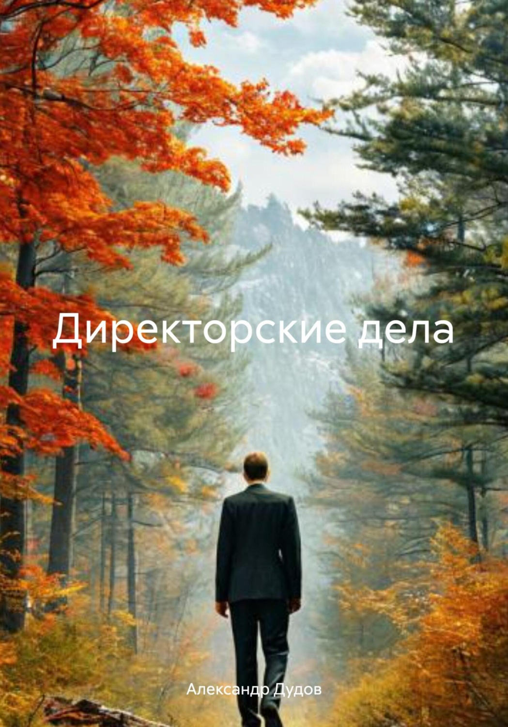 Обложка книги «Директорские дела»