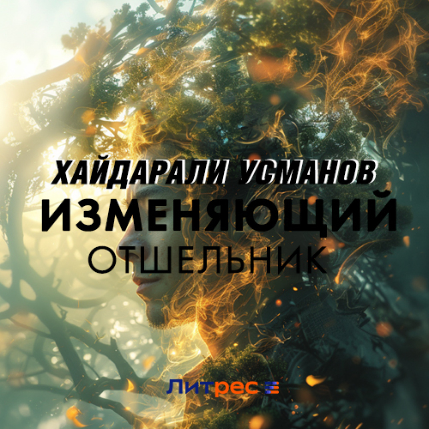 Обложка книги «Изменяющий. Отшельник»
