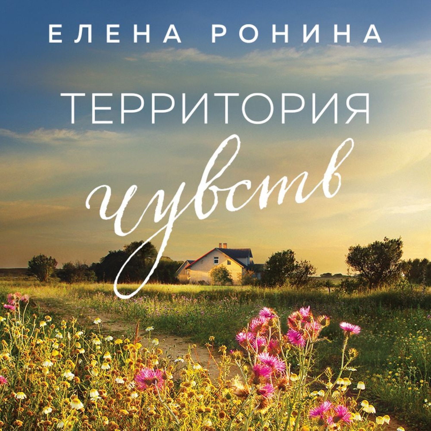 Обложка книги «Территория чувств»
