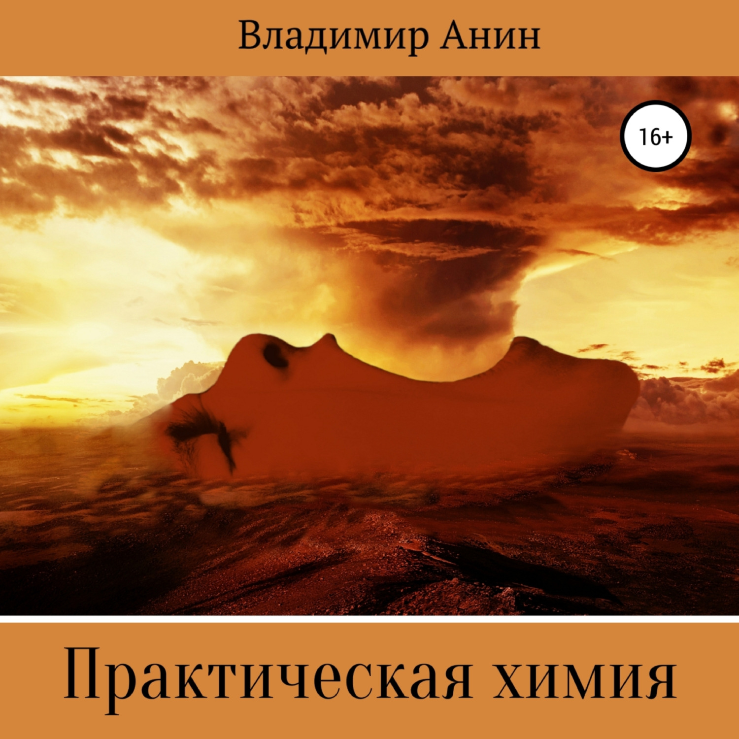 Обложка книги «Практическая химия»