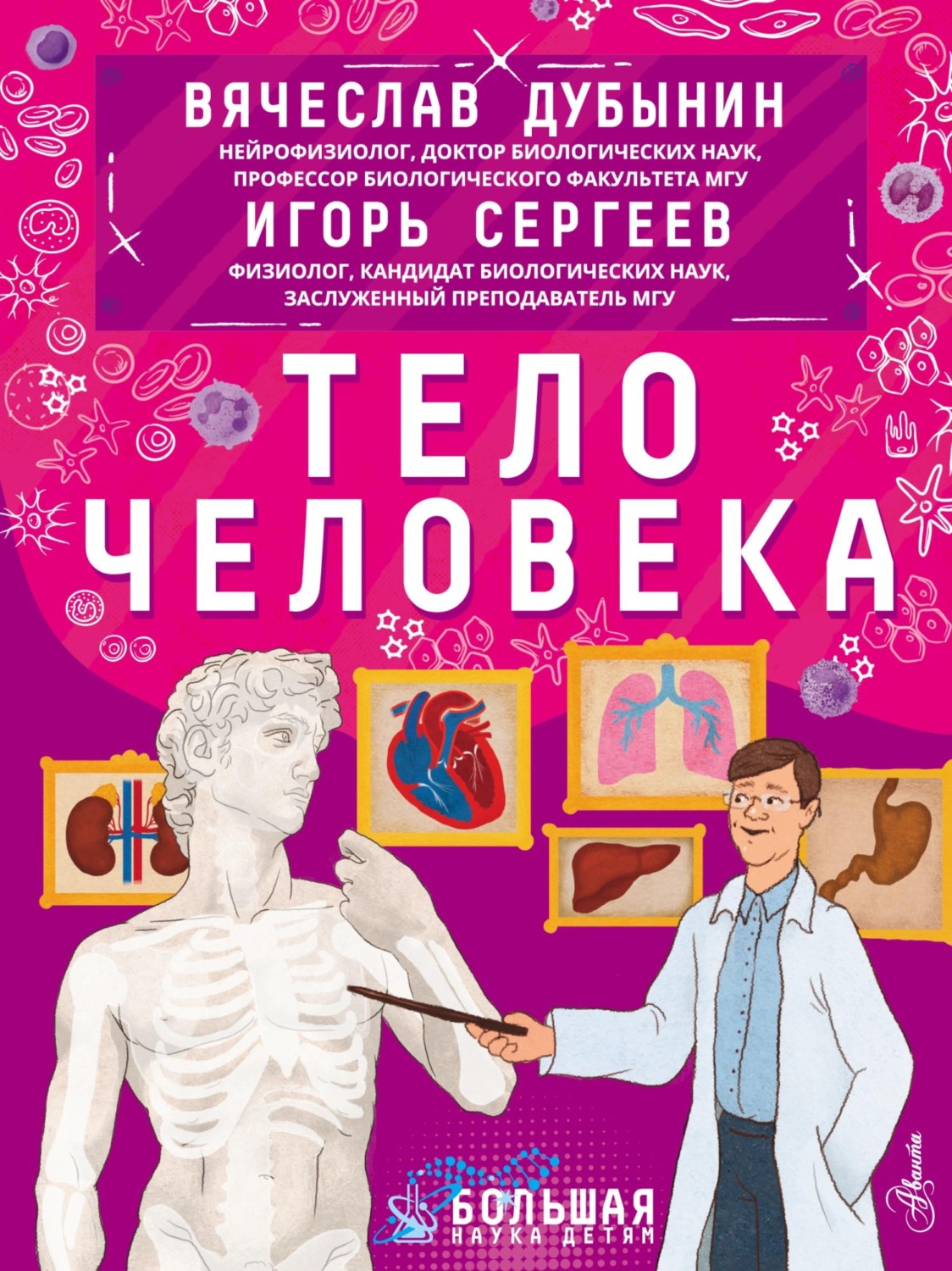 Обложка книги «Тело человека»