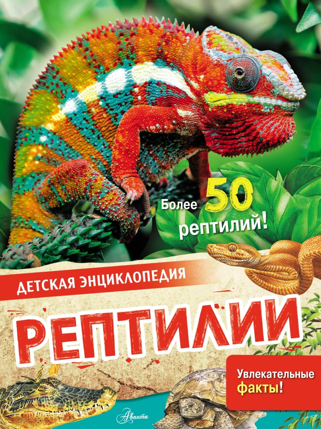 Обложка книги «Рептилии»