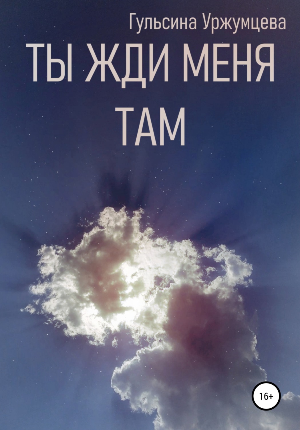 Обложка книги «Ты жди меня там»