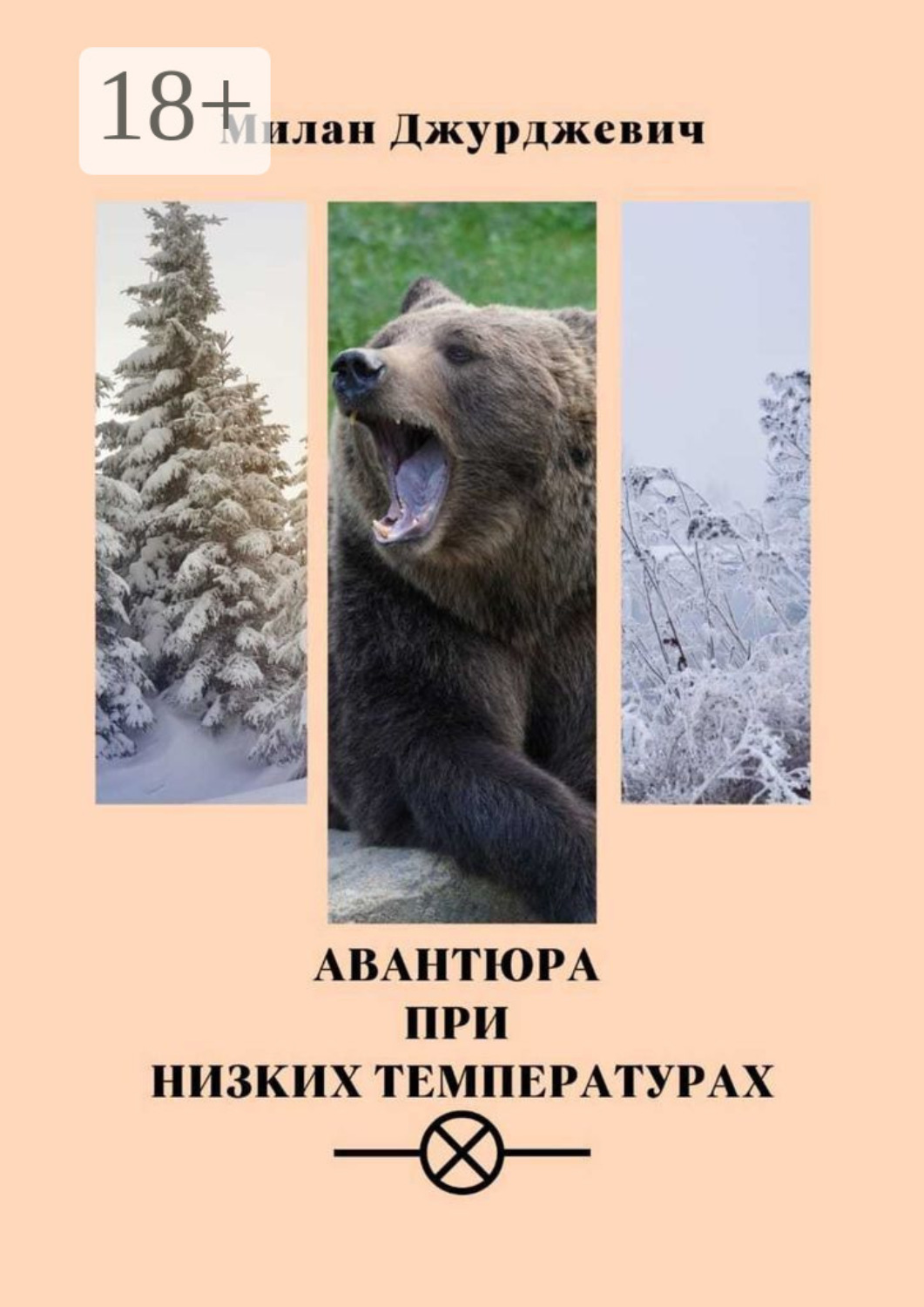 Обложка книги «Авантюра при низких температурах»