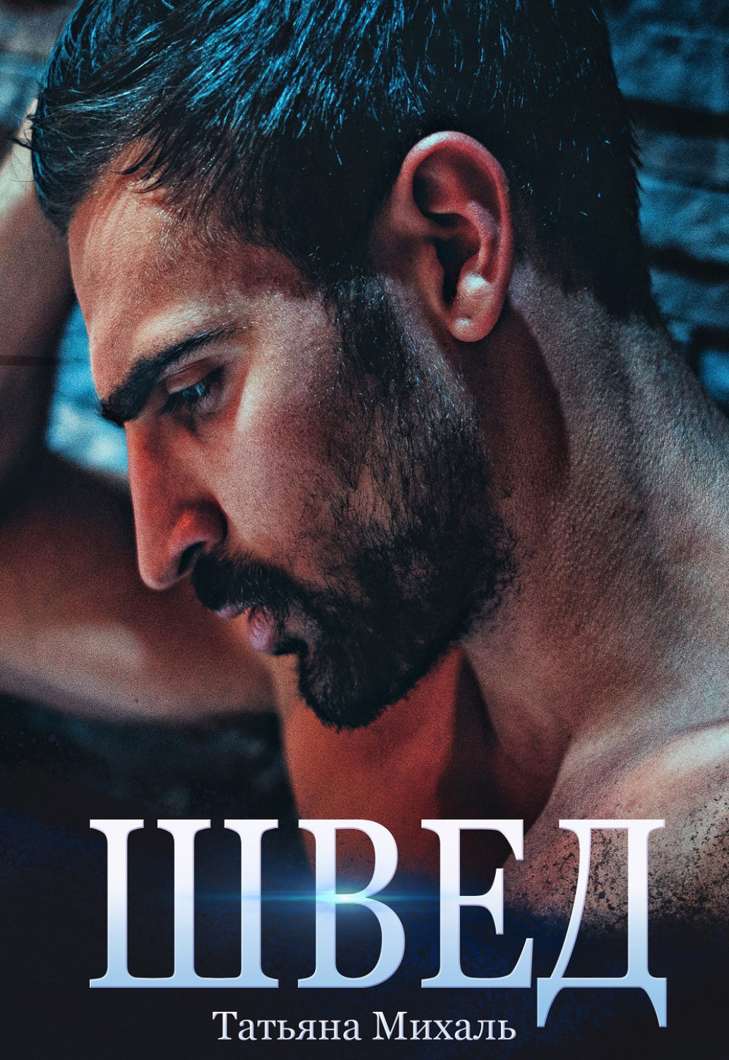 Обложка книги «Швед»