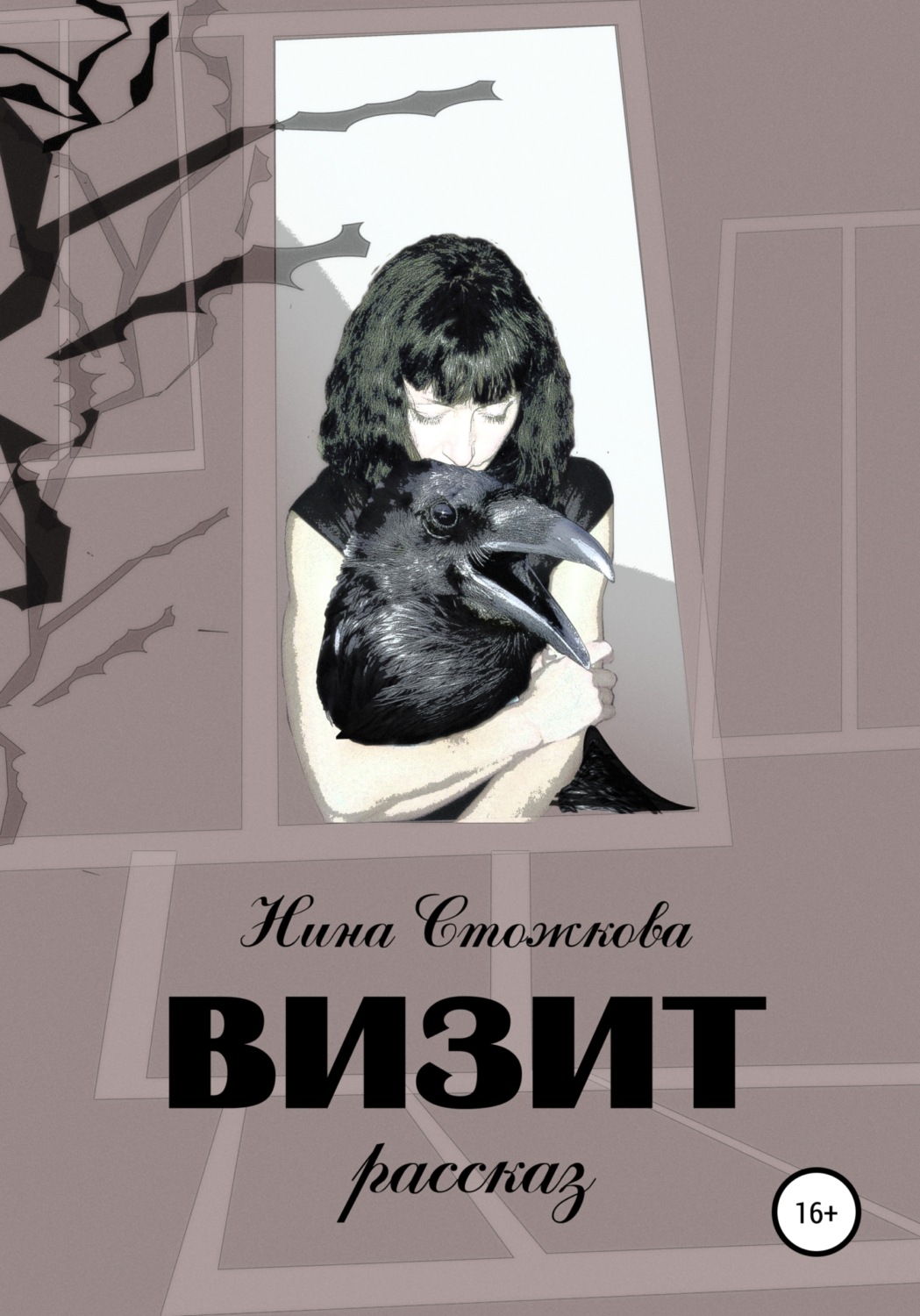 Обложка книги «Визит»