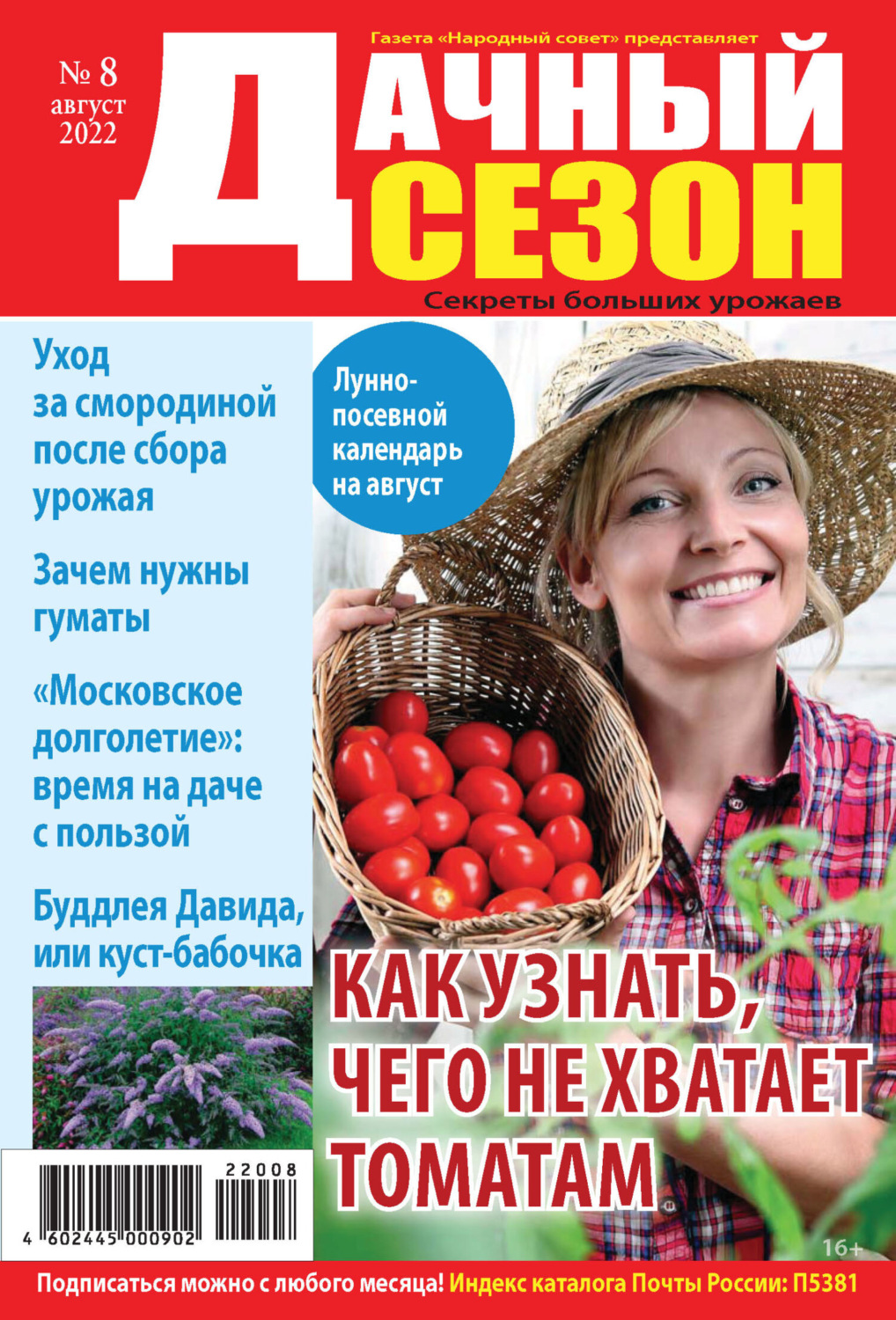 Обложка книги «Дачный сезон №08/2022»