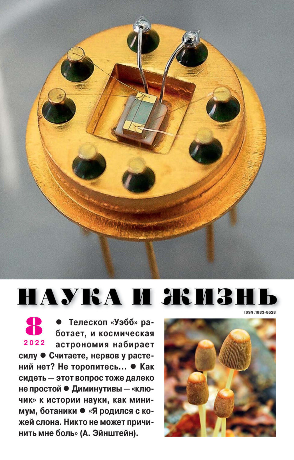 Обложка книги «Наука и жизнь №08/2022»