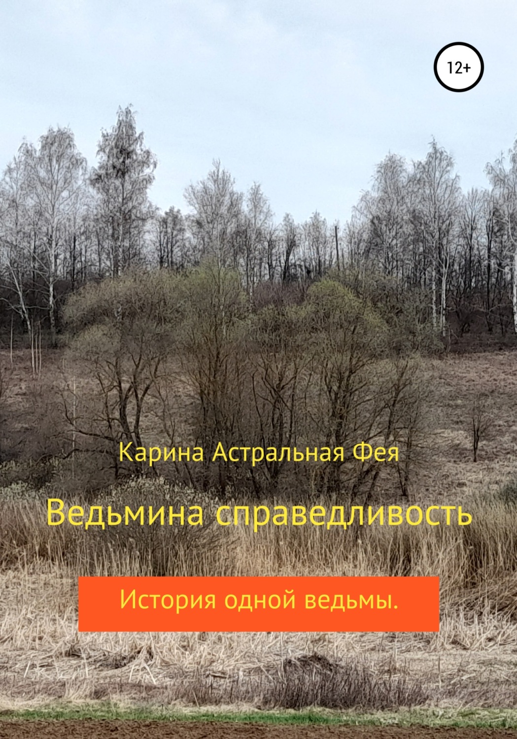 Обложка книги «Ведьмина справедливость»