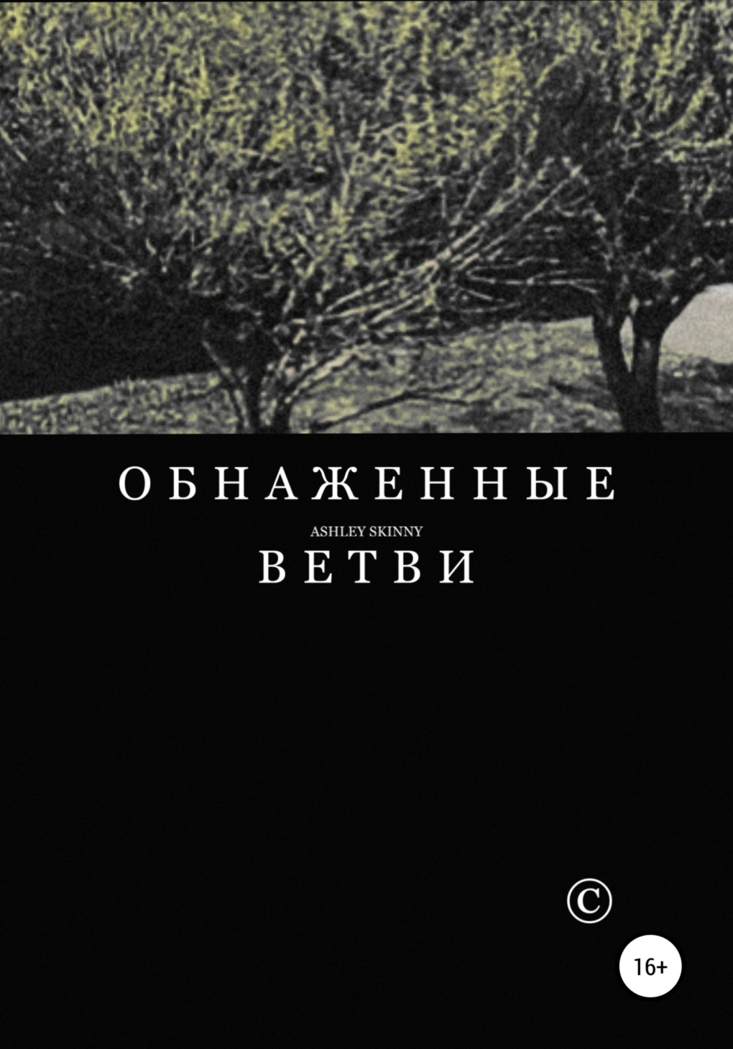 Обложка книги «Обнаженные ветви»