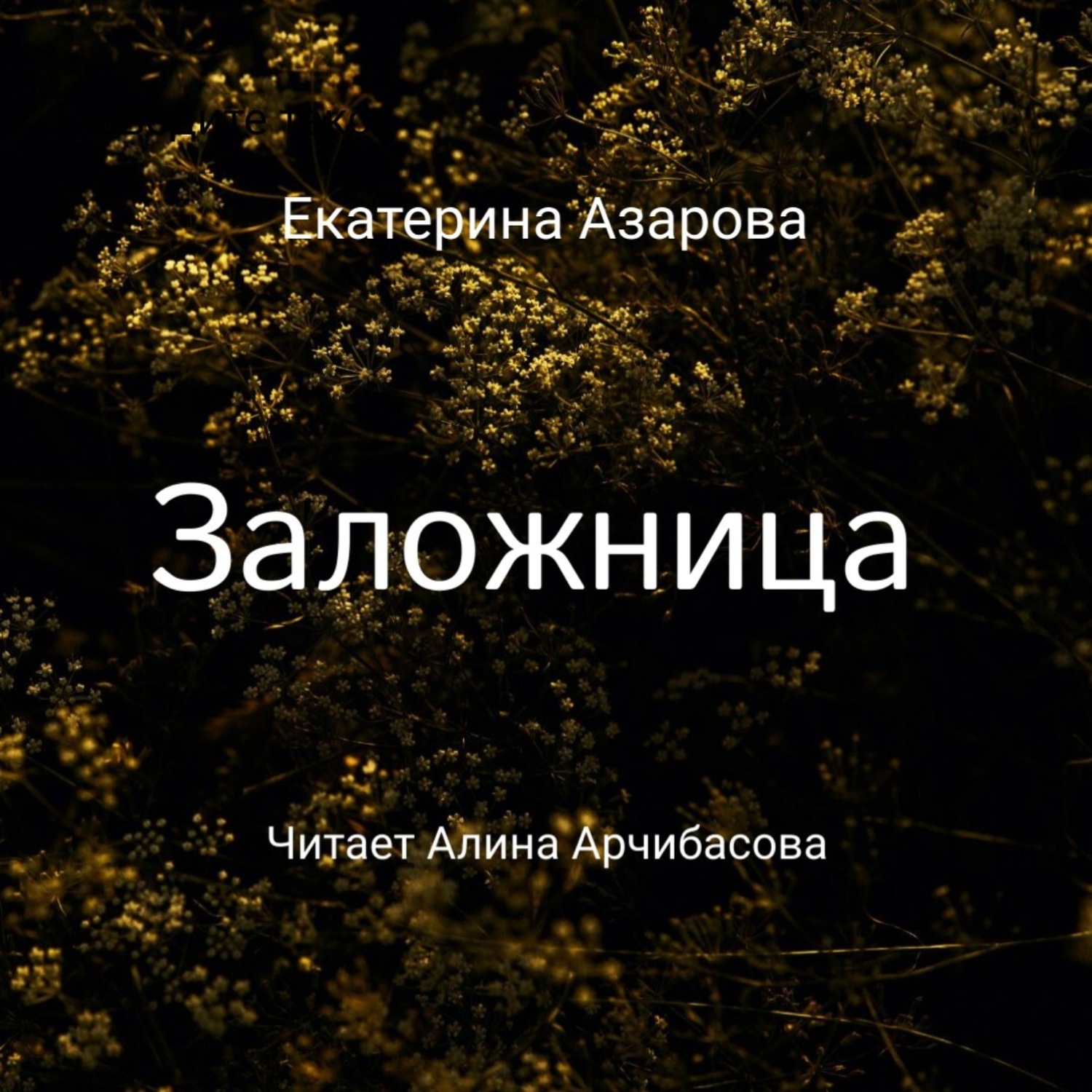 Обложка книги «Заложница»