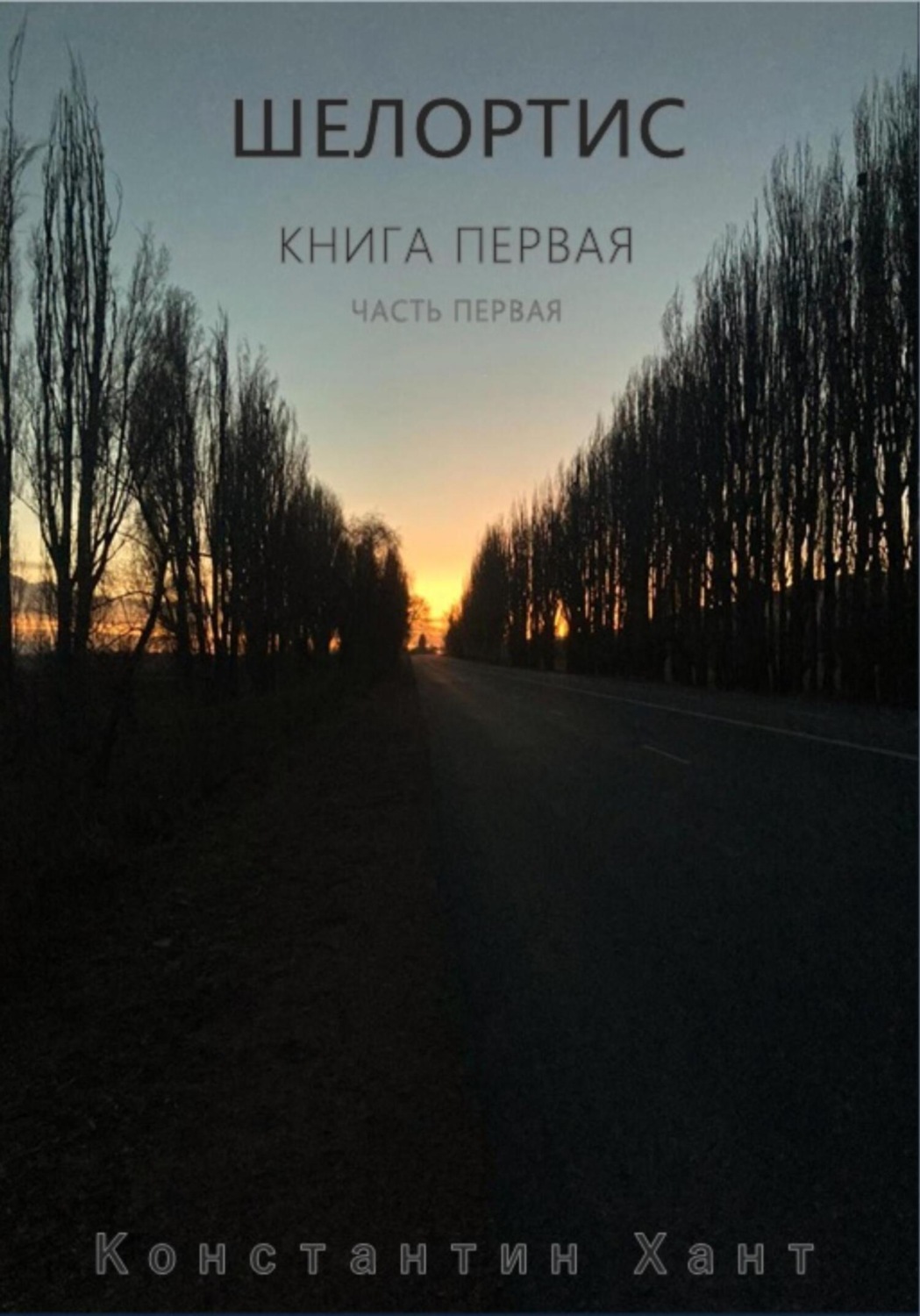 Обложка книги «Шелортис. Книга первая. Часть первая»
