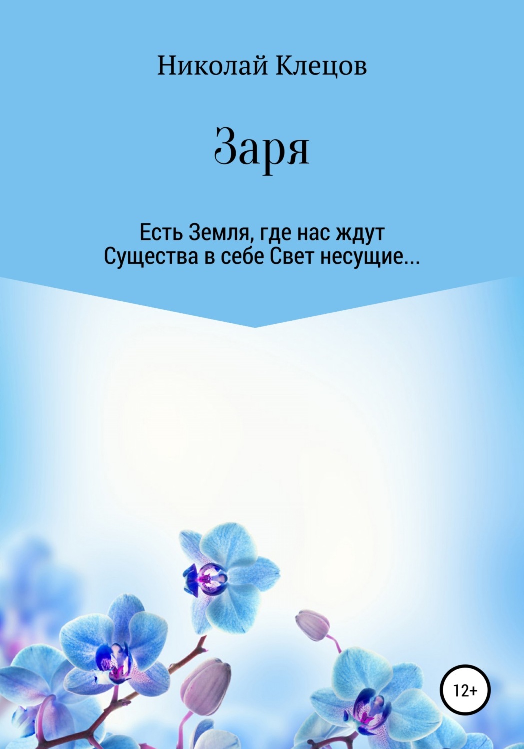 Обложка книги «Заря»