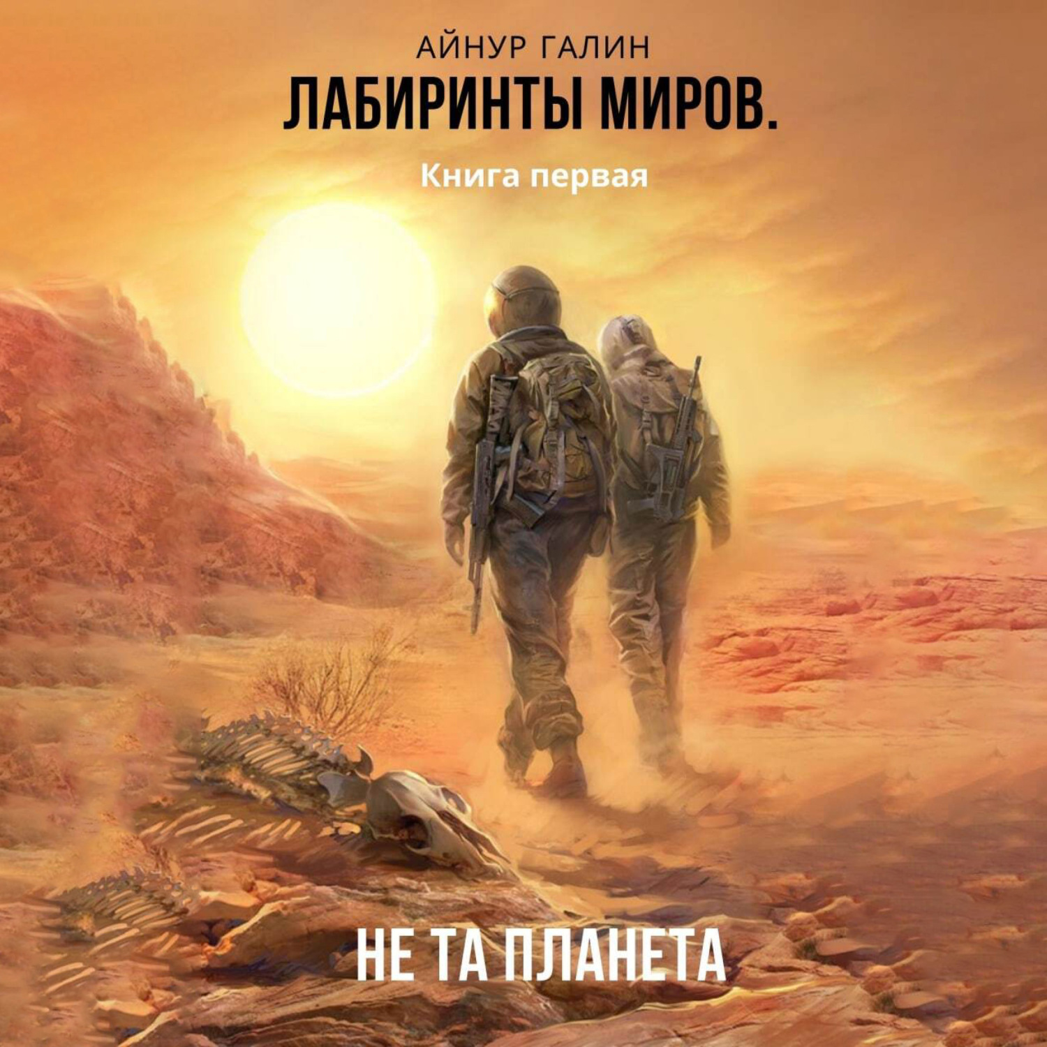 Обложка книги «Лабиринты миров. Книга первая. Не та планета»