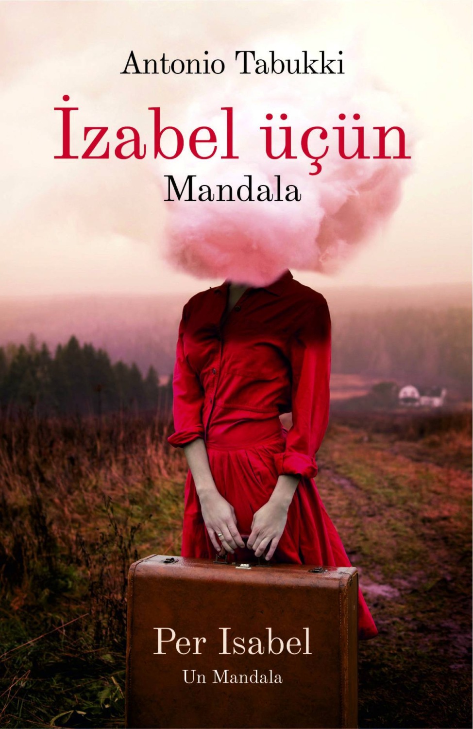 Обложка книги «İzabel üçün mandala»