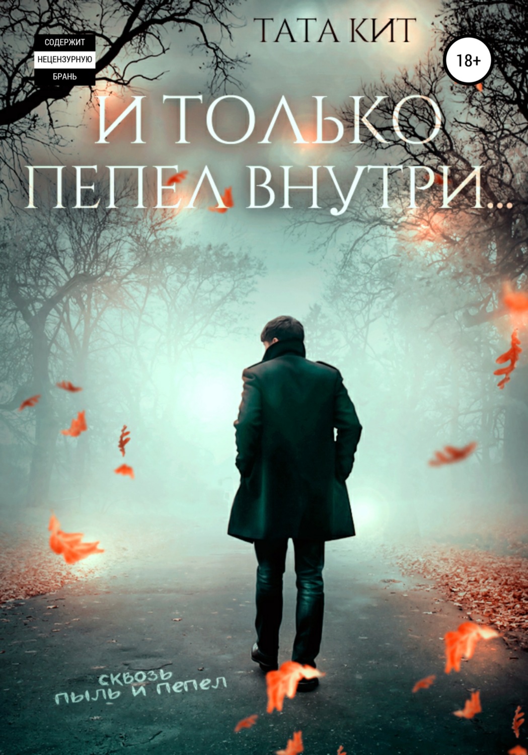Обложка книги «И только пепел внутри…»