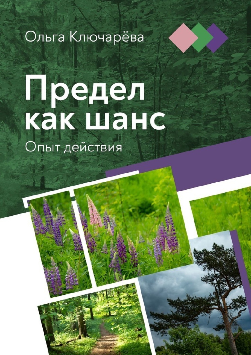 Обложка книги «Предел как шанс. Опыт действия»