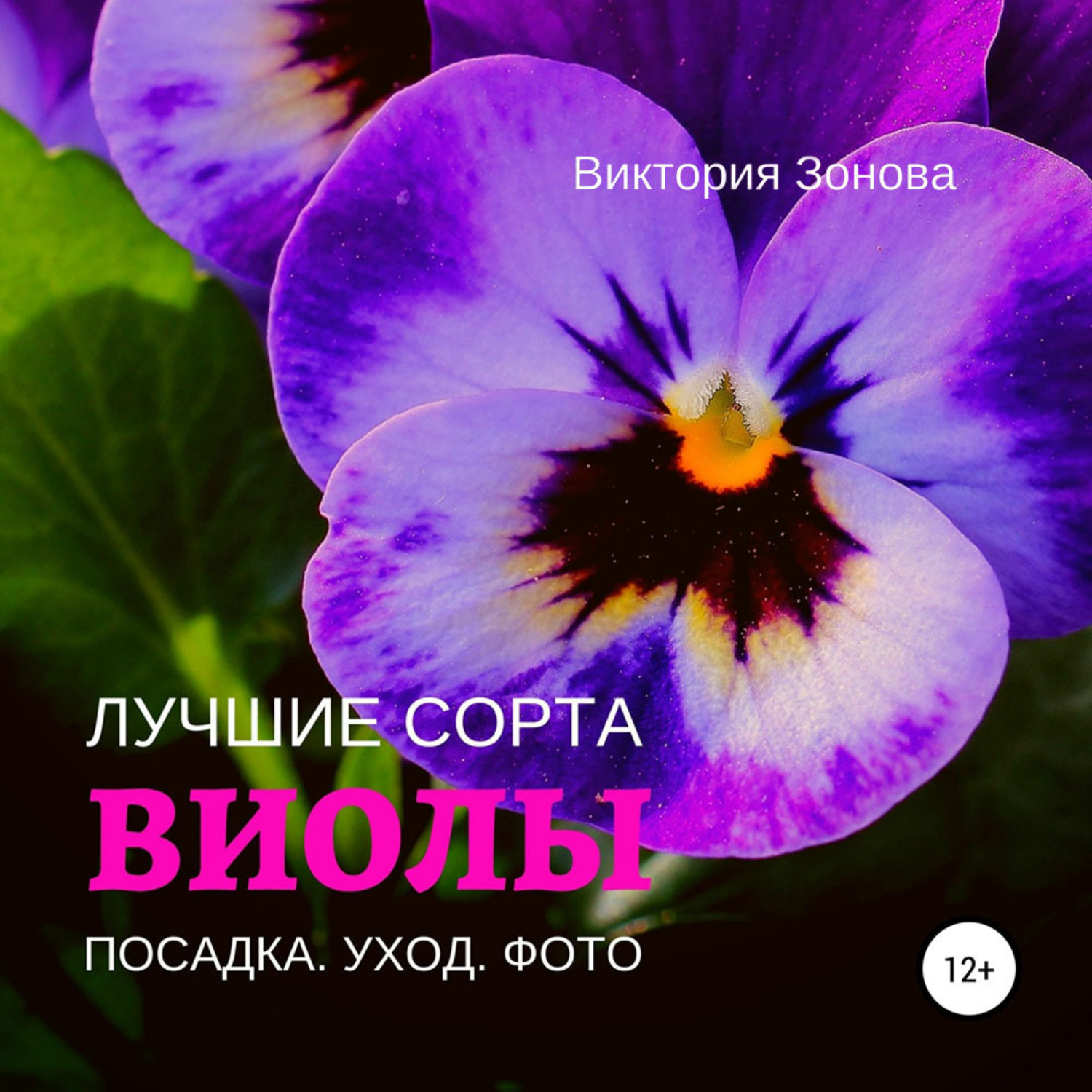 Обложка книги «Виолы. Лучшие сорта»