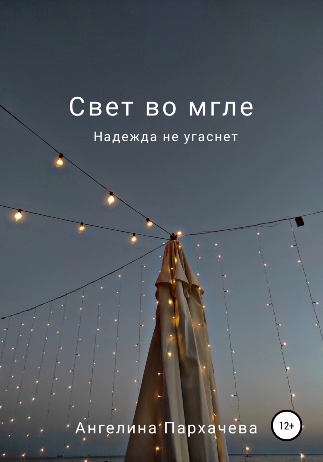 Обложка книги «Свет во мгле»