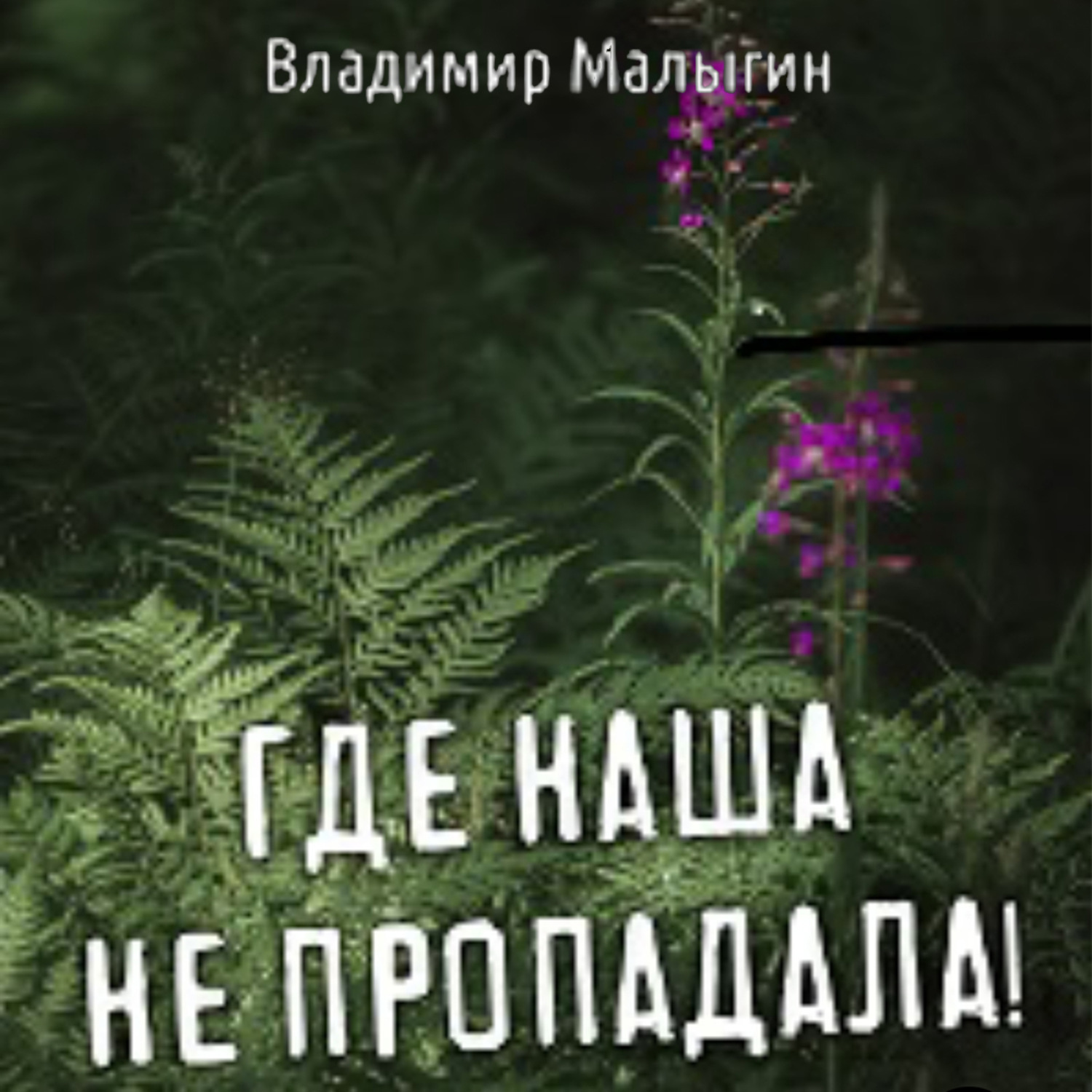 Обложка книги «Где наша не пропадала»