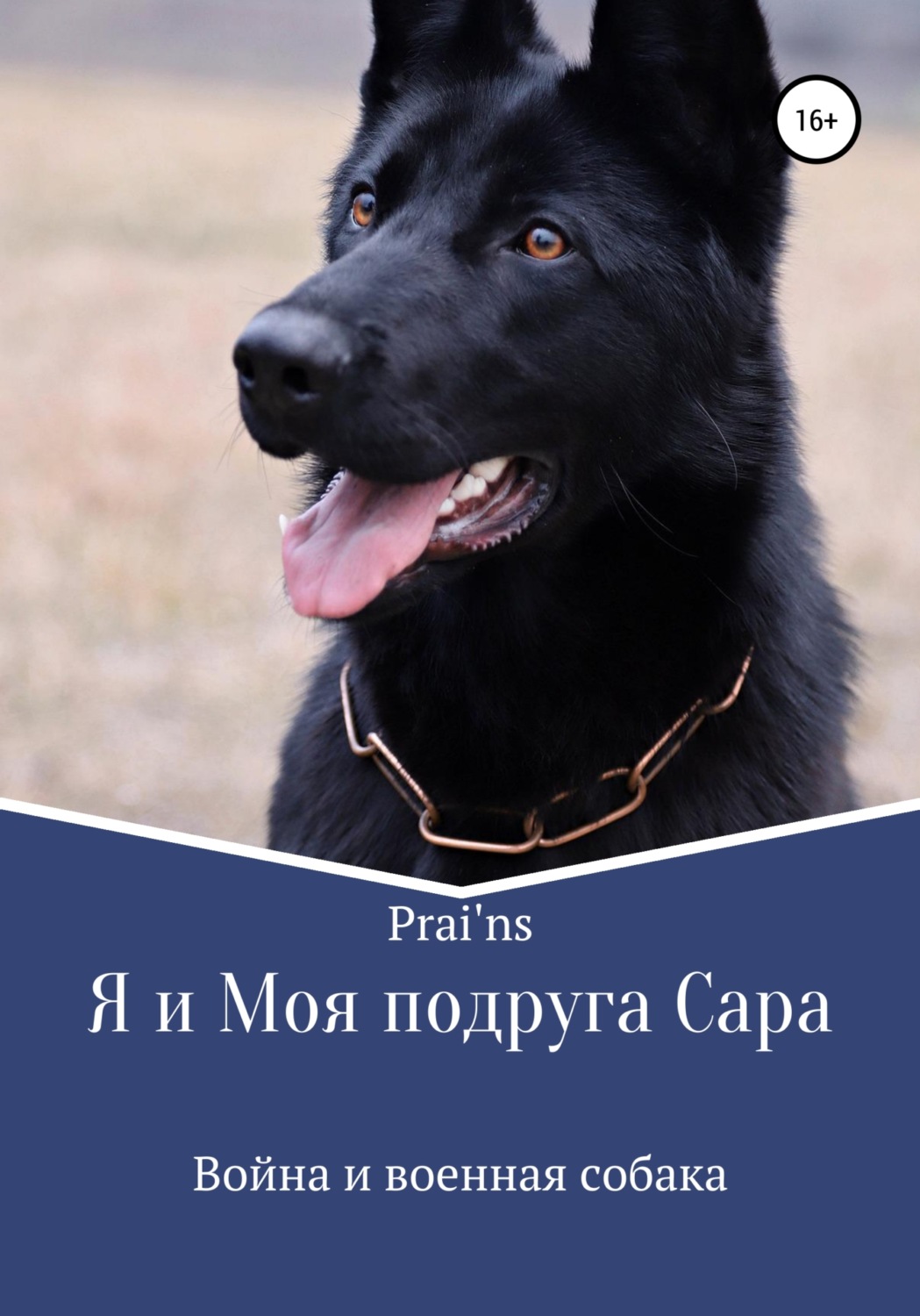 Обложка книги «Я и Моя подруга Сара»