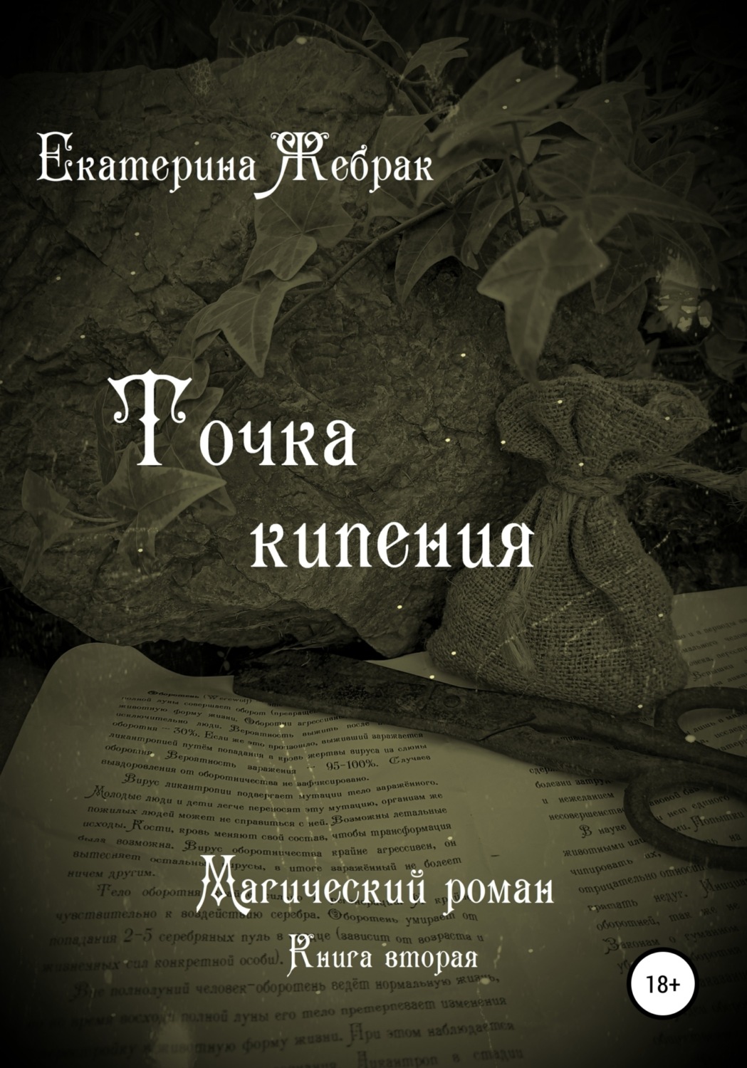 Обложка книги «Точка кипения. Магический роман»