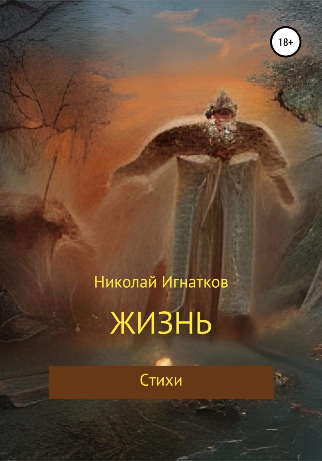 Обложка книги «Жизнь»