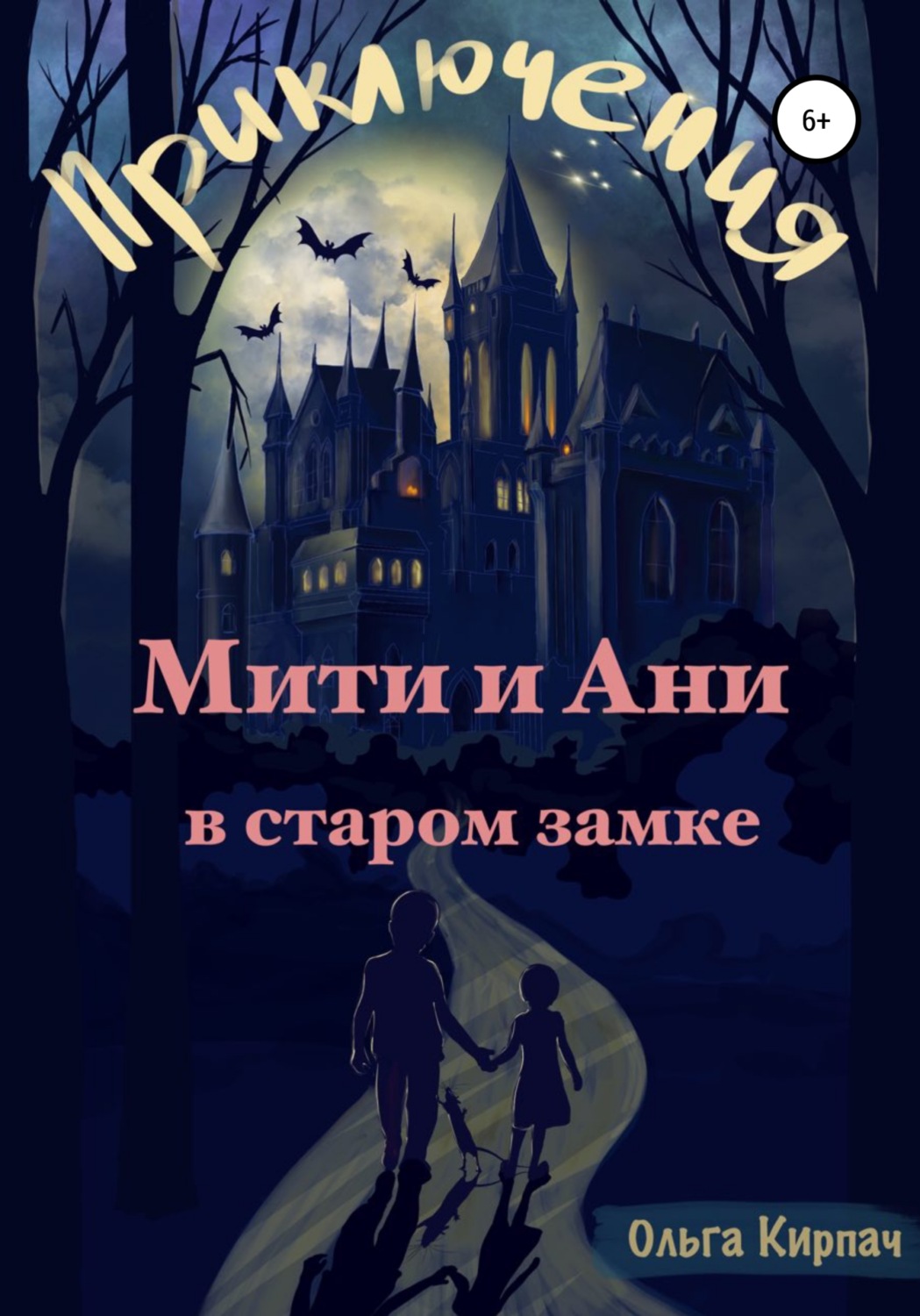 Обложка книги «Приключения Мити и Ани в старом замке»