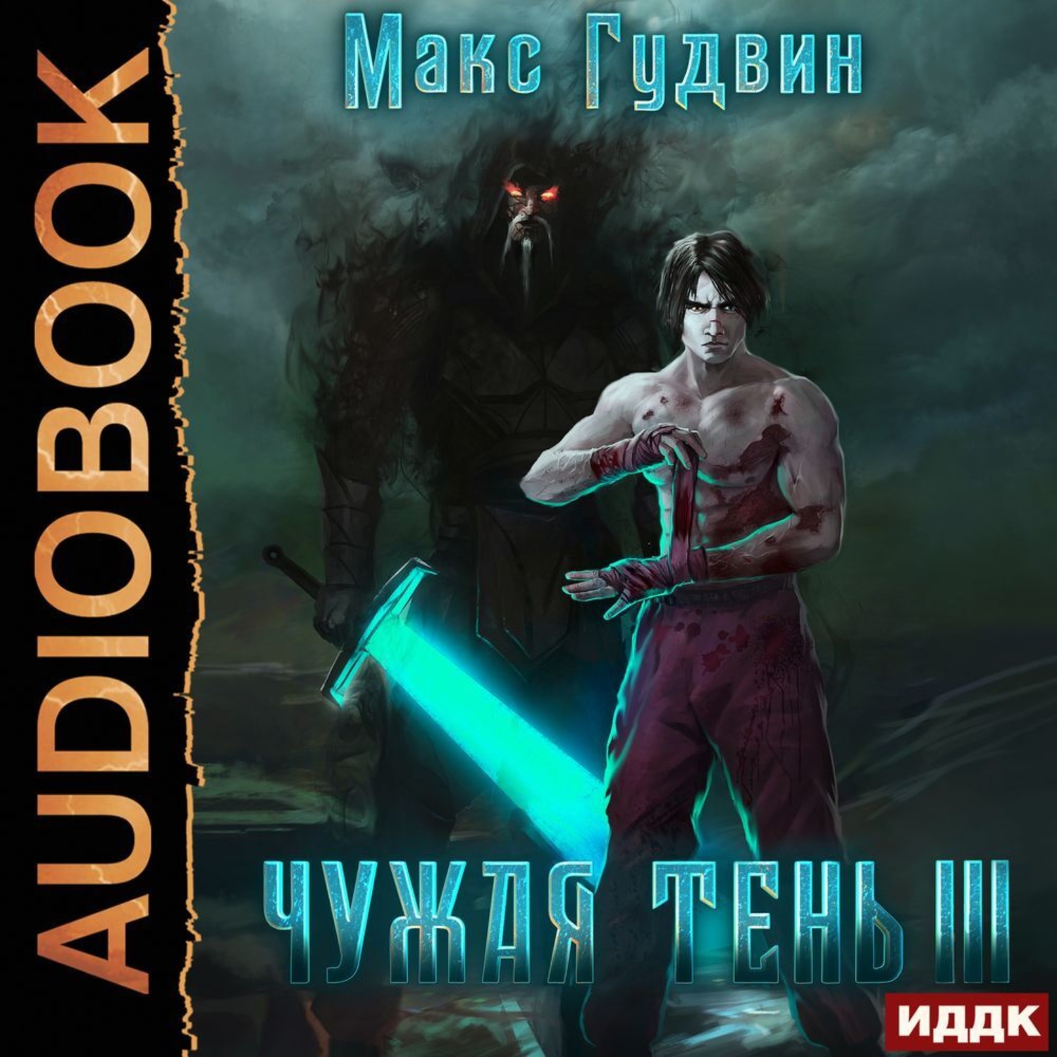 Обложка книги «Чужая тень. Книга 3»