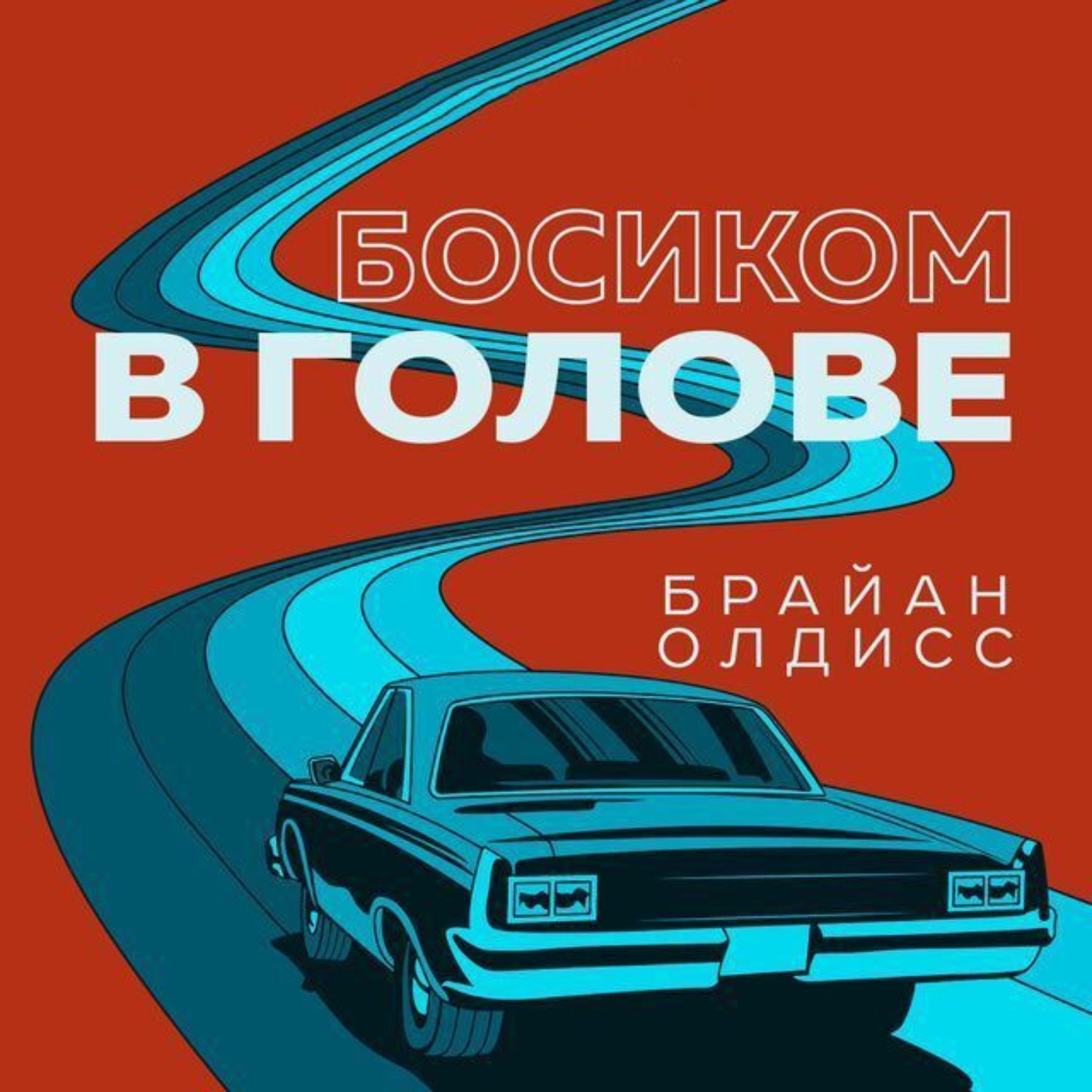 Обложка книги «Босиком в голове»