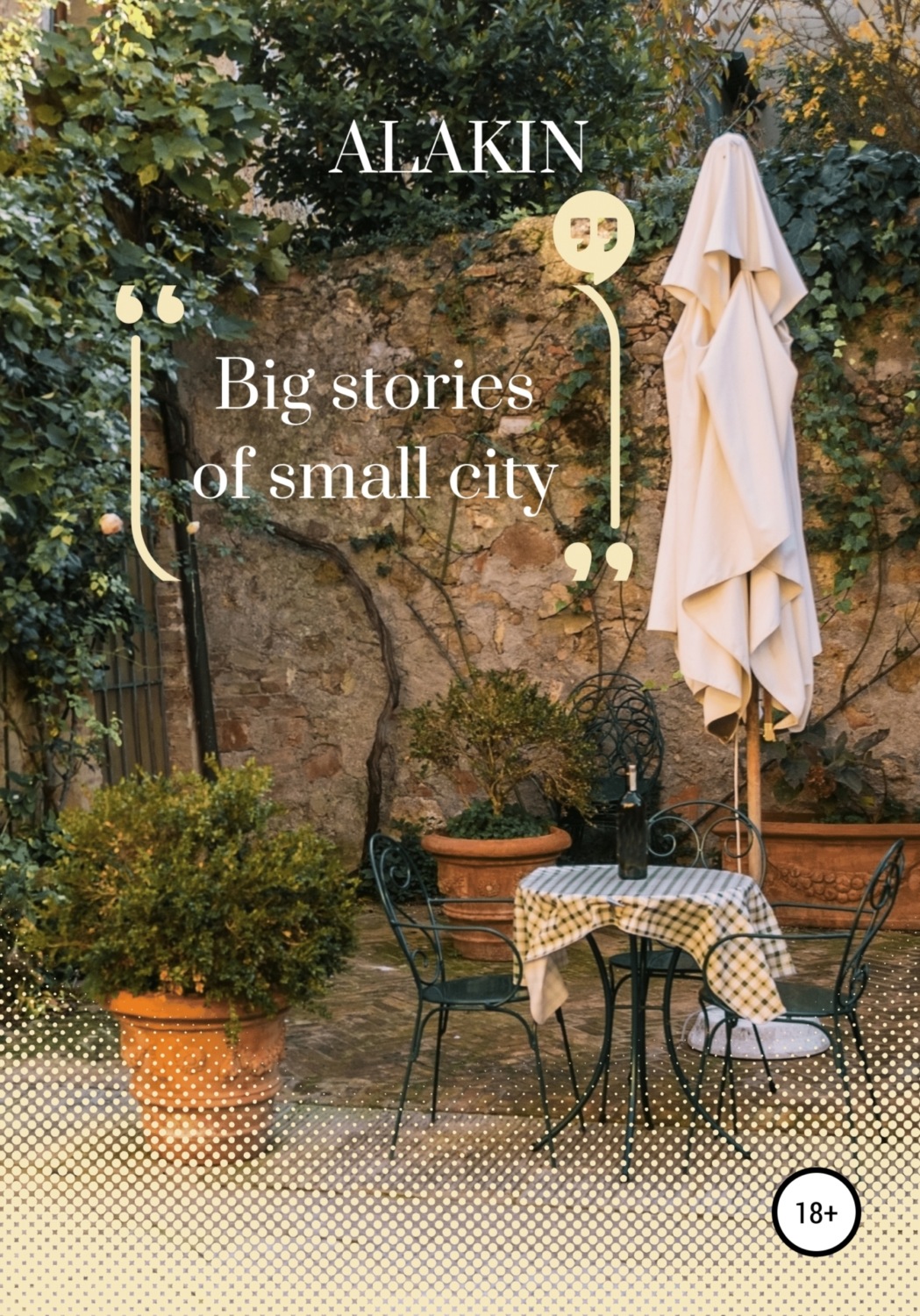 Обложка книги «Big stories of small city»