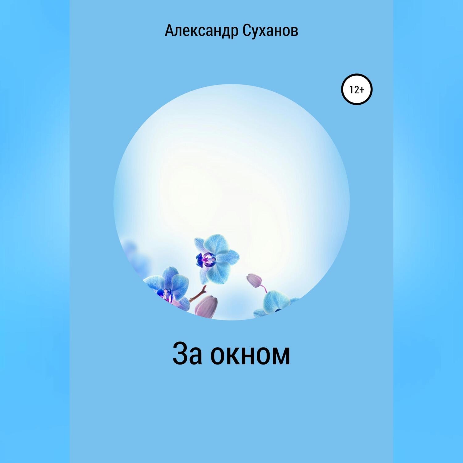 Обложка книги «За окном»