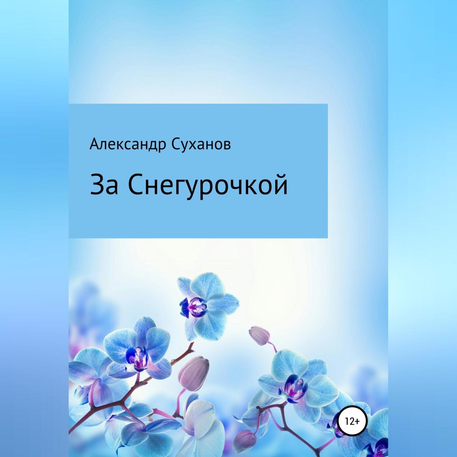 Обложка книги «За Снегурочкой»
