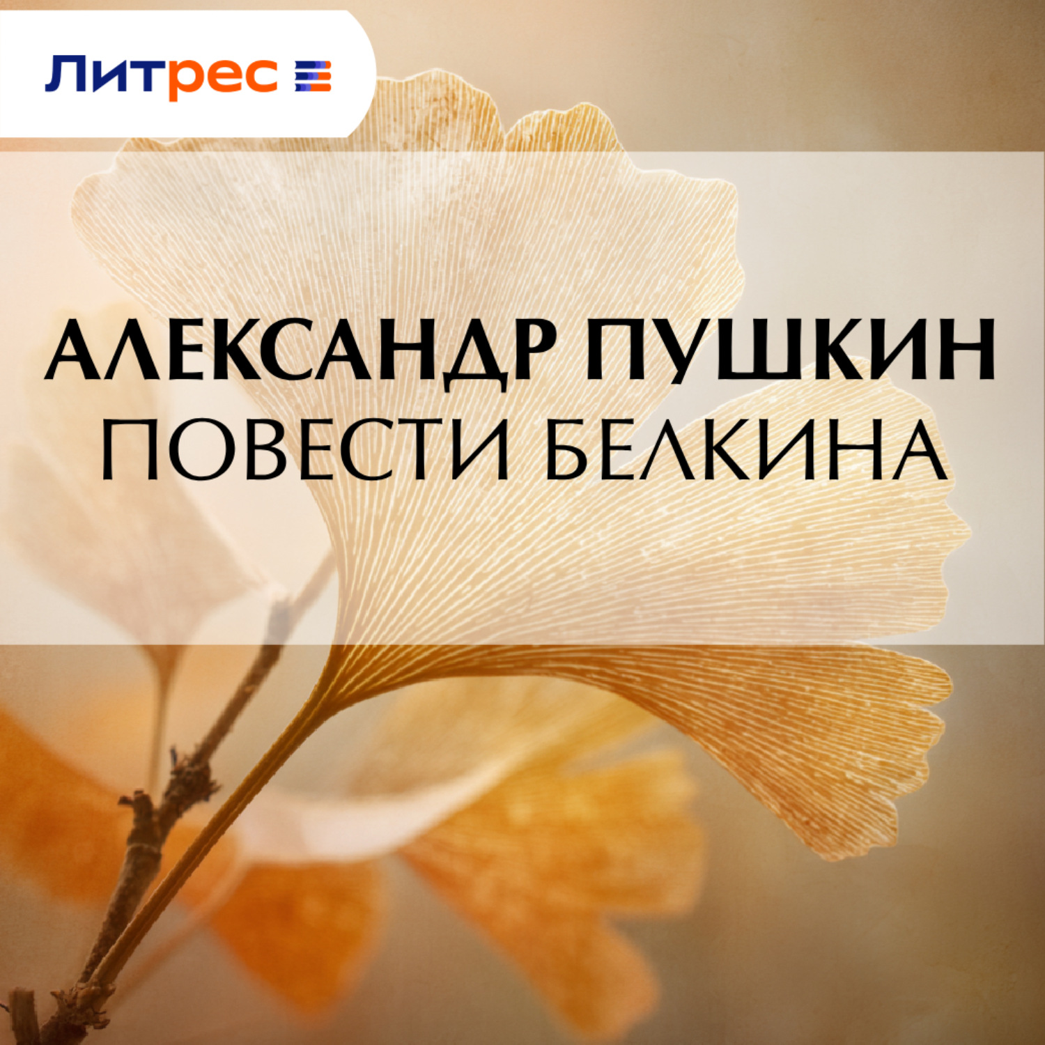 Обложка книги «Повести Белкина»