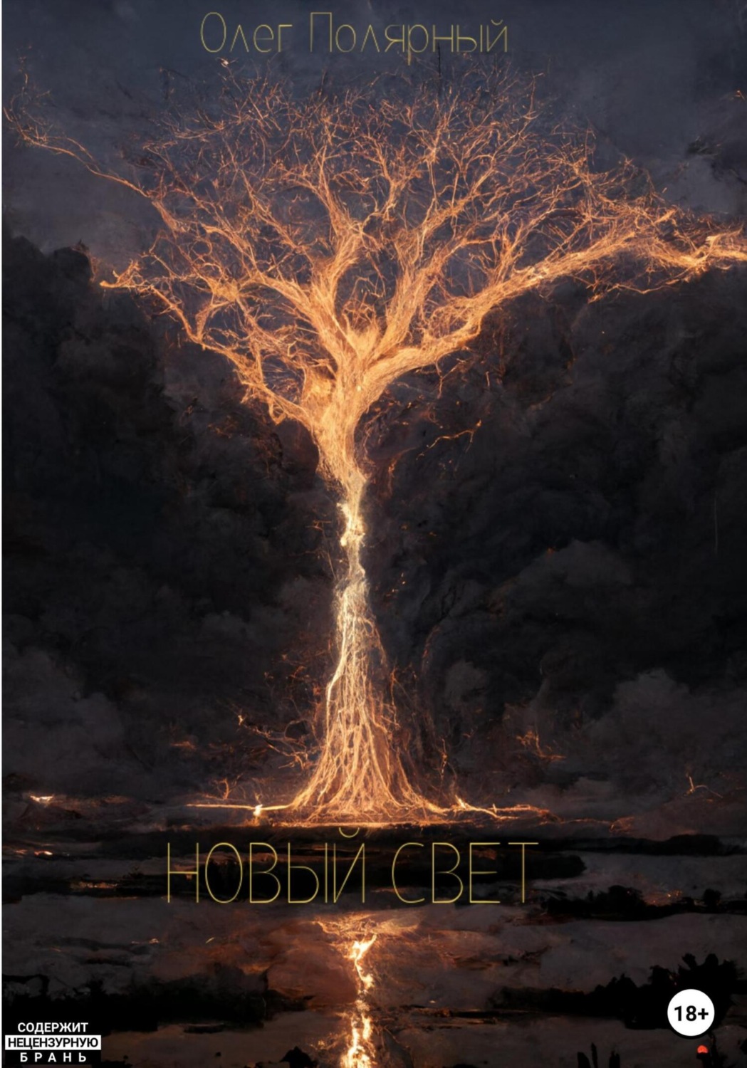 Обложка книги «Новый Свет»