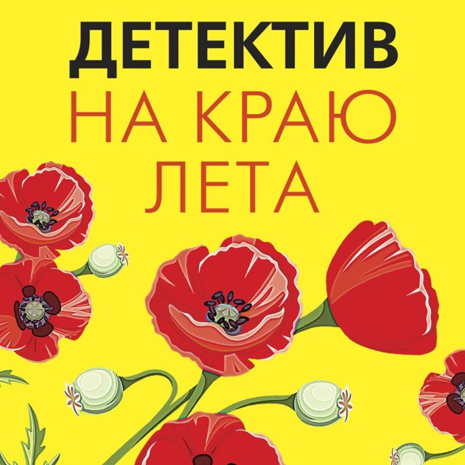 Обложка книги «Детектив на краю лета»