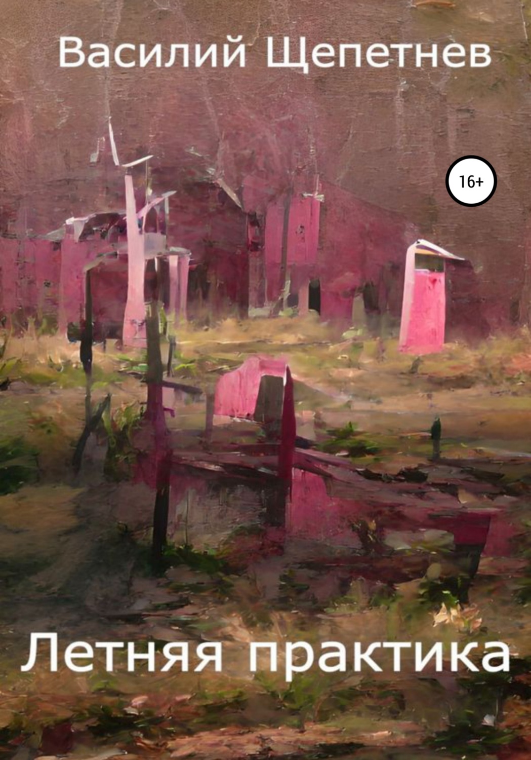 Обложка книги «Летняя практика»