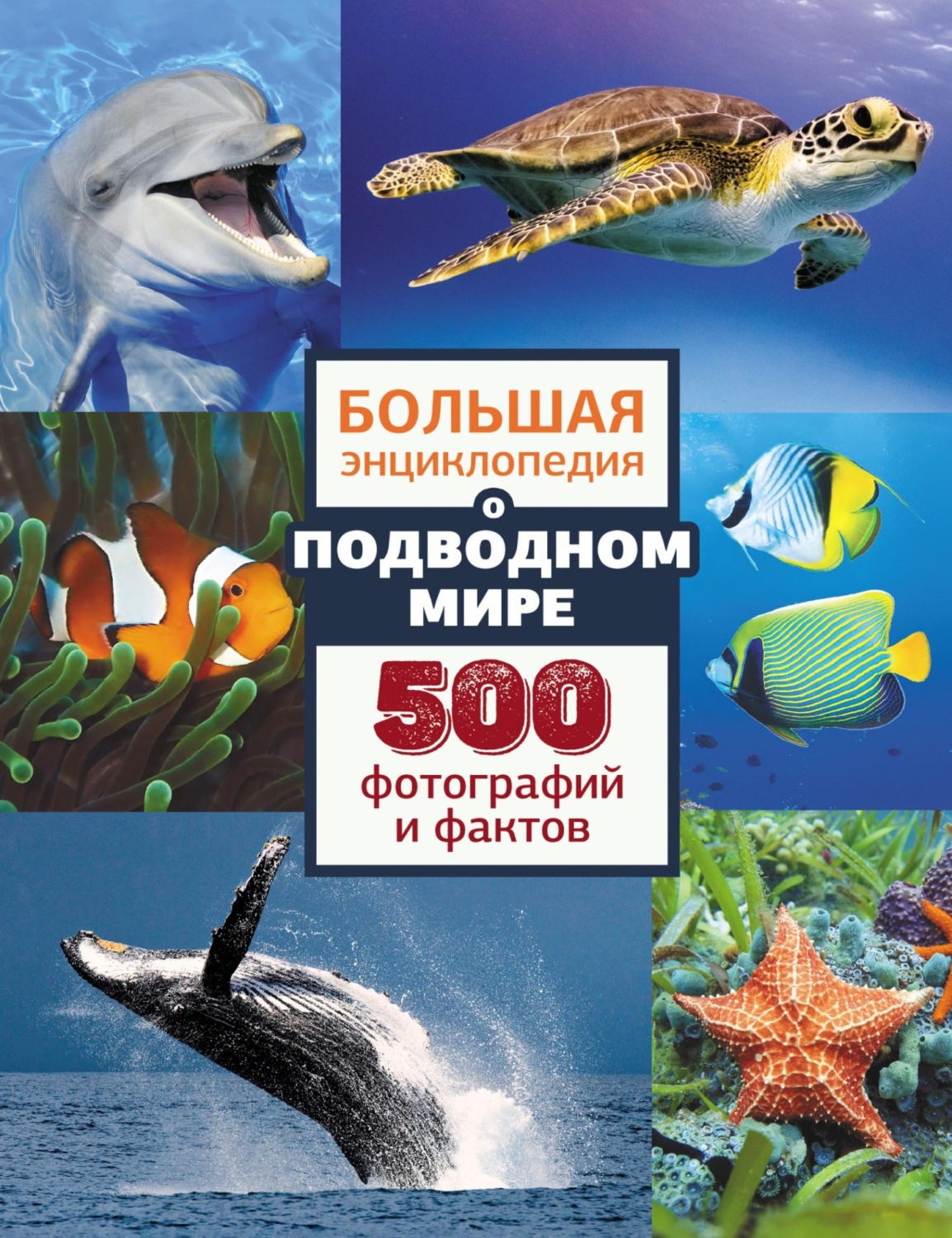 Обложка книги «Большая энциклопедия о подводном мире. 500 фотографий и фактов»