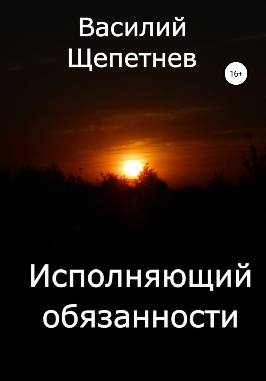 Обложка книги «Исполняющий обязанности»