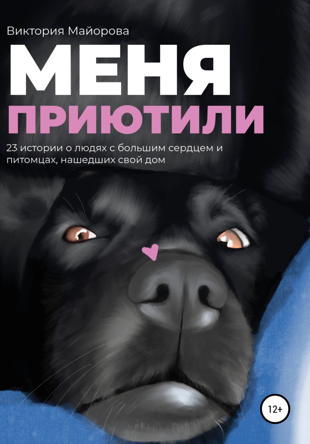 Обложка книги «Меня приютили»