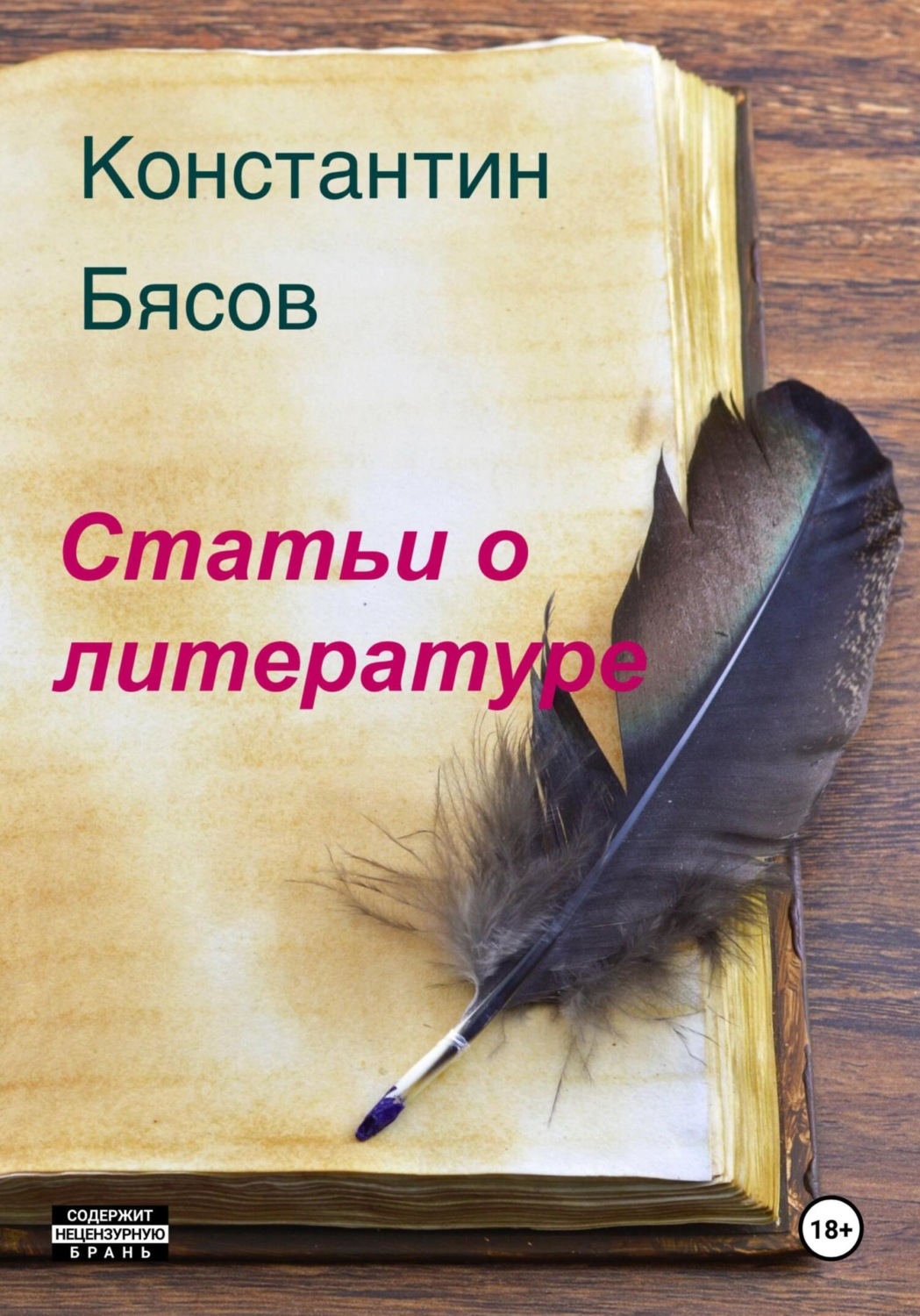 Обложка книги «Статьи о литературе»