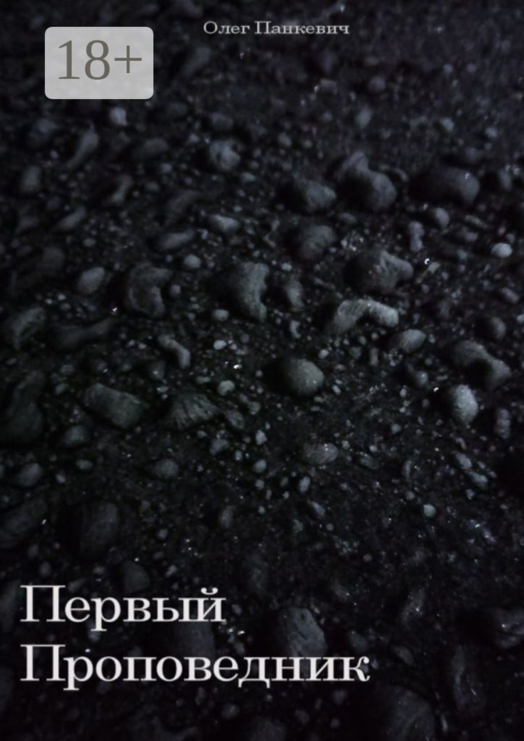 Обложка книги «Первый Проповедник»